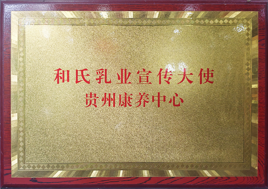 和氏乳业宣传大使