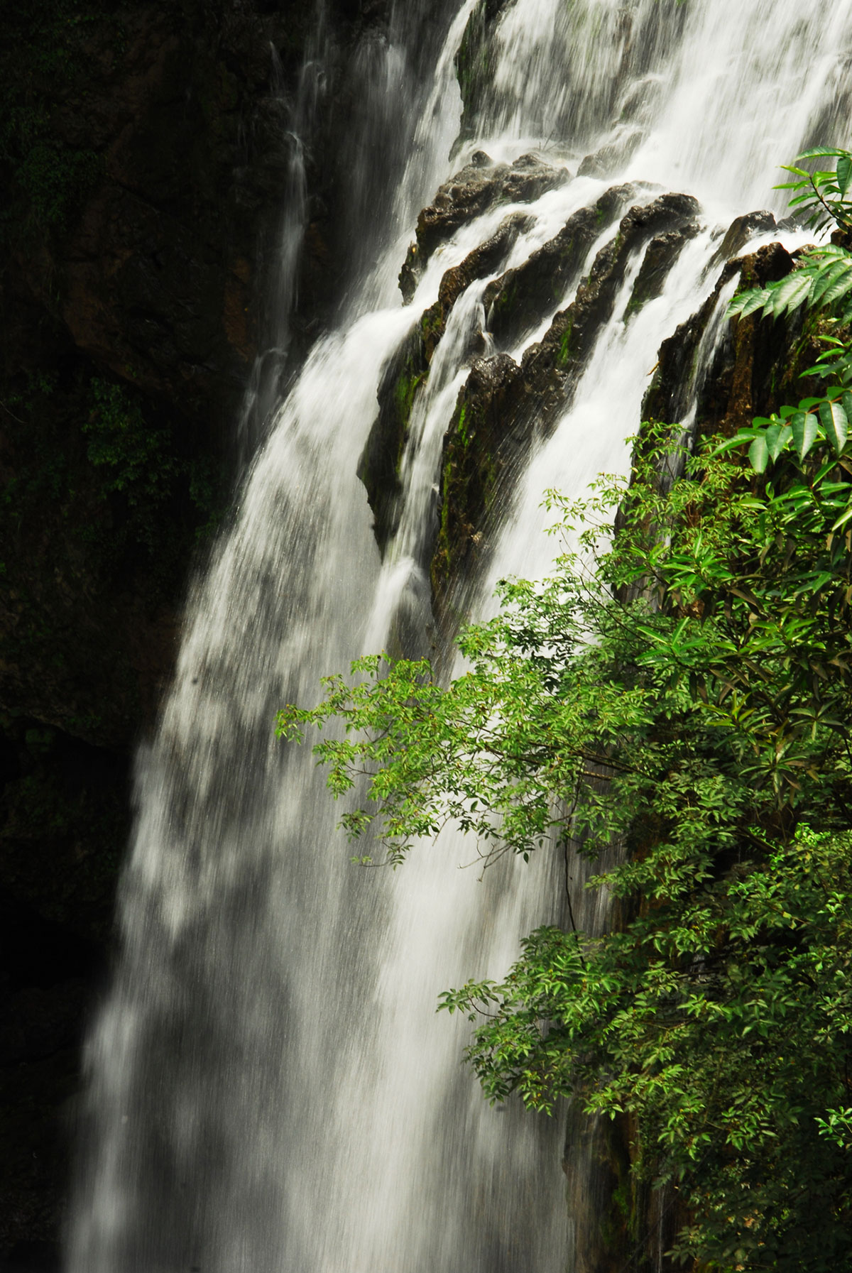 红果树飞瀑.jpg